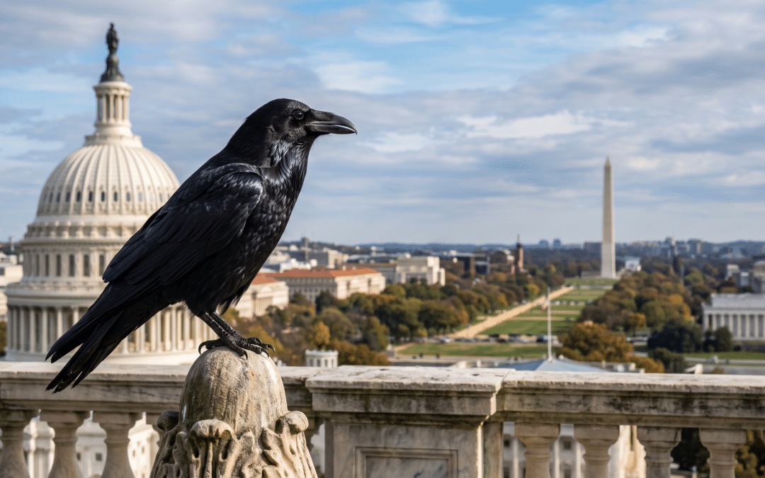 Why the Raven Is the Official Bird of Newbeings 1619.  By Thee Rev. Futurist Erskine Robert Matthews